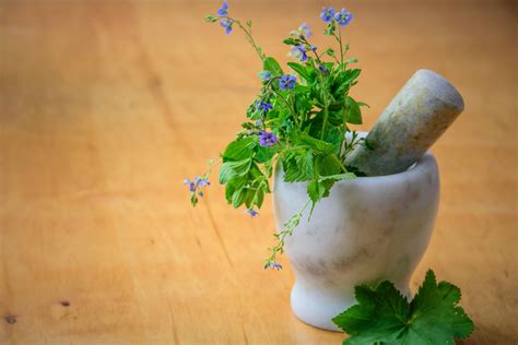 Magical properties of herbss